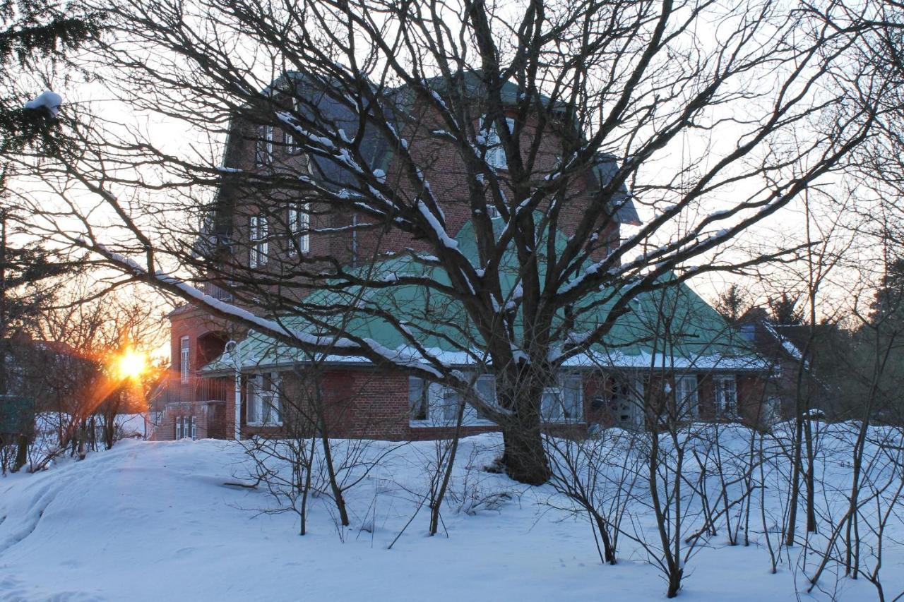 Haus Otto Wohnung 5 Wyk auf Föhr エクステリア 写真